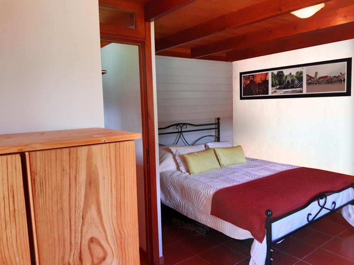 Quinta No Pinhal Bed & Breakfast Vila Nova de Poiares Exterior photo